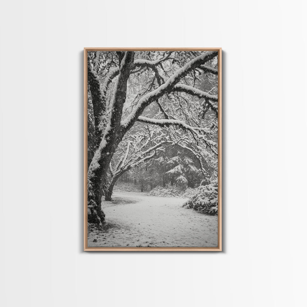 Snowfall Trees, Winter Forest, Nature Pathway, Canvas Print, Holiday Season Decor, Cozy Living Room or Cabin Wall Art