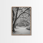 Snowfall Trees, Winter Forest, Nature Pathway, Canvas Print, Holiday Season Decor, Cozy Living Room or Cabin Wall Art