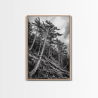 Windy Pines, Forest Landscape, Nature Photography, Framed Canvas Print, Rustic Wall Art, Cabin Decor, Minimalist Art, Fall Home Style