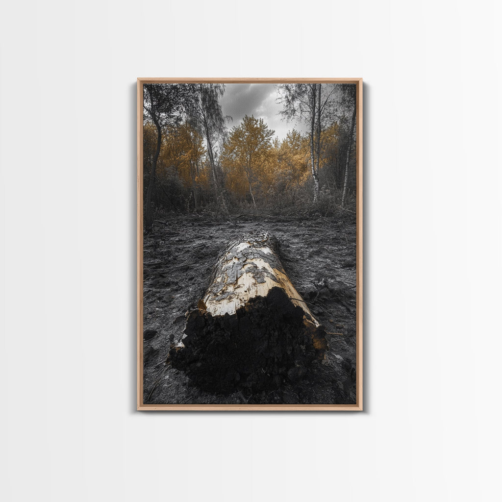 Fallen Log, Autumn Forest, Nature Transition, Framed Canvas Print, Rustic Fall Decor, Cabin Wall Art, Woodland Photography
