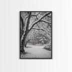 Snowfall Trees, Winter Forest, Nature Pathway, Canvas Print, Holiday Season Decor, Cozy Living Room or Cabin Wall Art