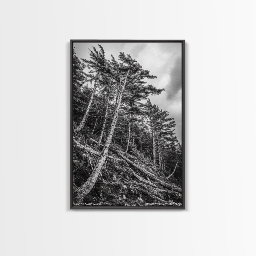 Windy Pines, Forest Landscape, Nature Photography, Framed Canvas Print, Rustic Wall Art, Cabin Decor, Minimalist Art, Fall Home Style