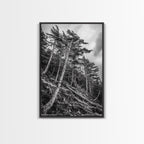 Windy Pines, Forest Landscape, Nature Photography, Framed Canvas Print, Rustic Wall Art, Cabin Decor, Minimalist Art, Fall Home Style