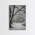 Snowfall Trees, Winter Forest, Nature Pathway, Canvas Print, Holiday Season Decor, Cozy Living Room or Cabin Wall Art