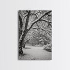 Snowfall Trees, Winter Forest, Nature Pathway, Canvas Print, Holiday Season Decor, Cozy Living Room or Cabin Wall Art
