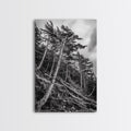 Windy Pines, Forest Landscape, Nature Photography, Framed Canvas Print, Rustic Wall Art, Cabin Decor, Minimalist Art, Fall Home Style