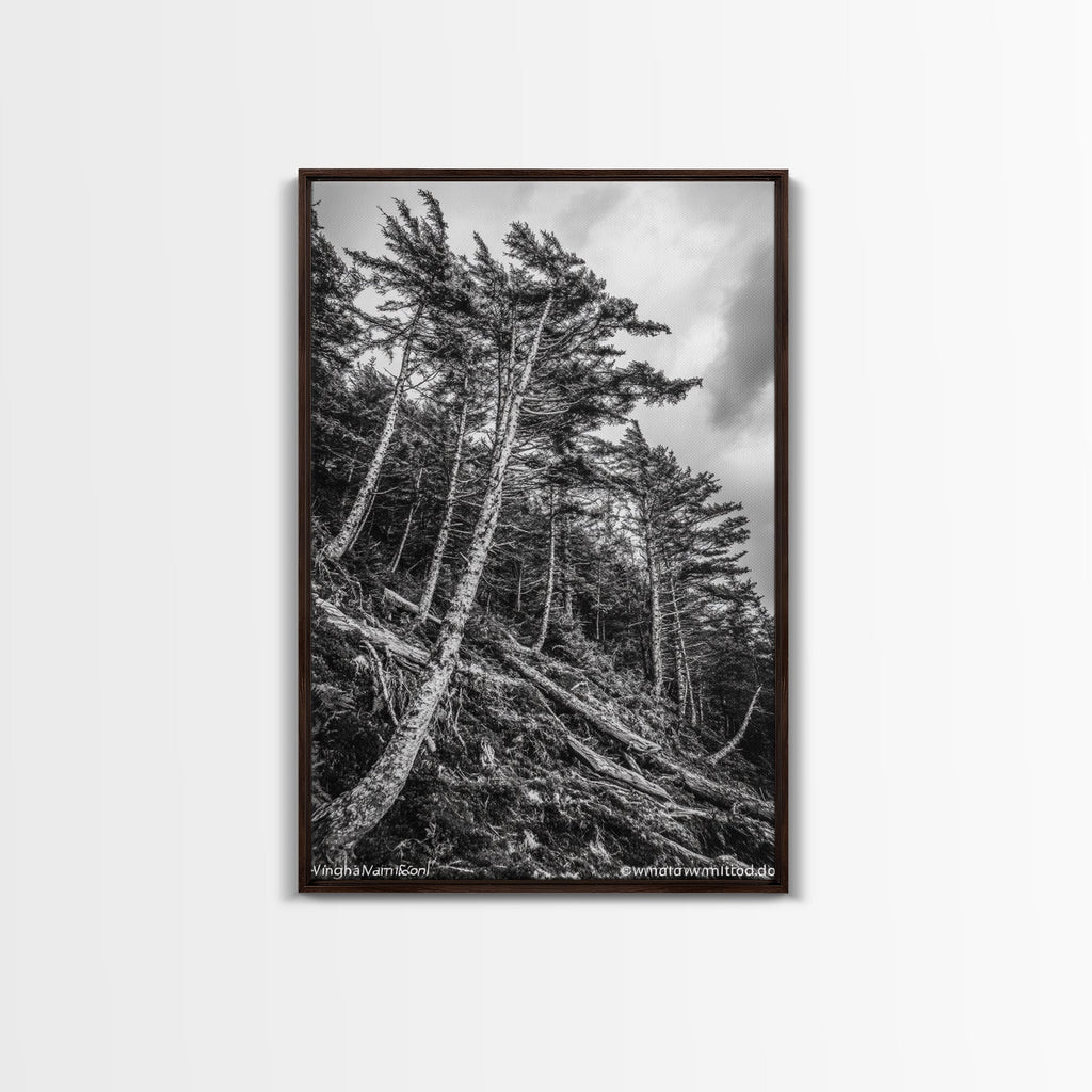 Windy Pines, Forest Landscape, Nature Photography, Framed Canvas Print, Rustic Wall Art, Cabin Decor, Minimalist Art, Fall Home Style
