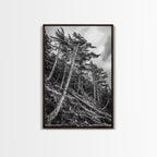 Windy Pines, Forest Landscape, Nature Photography, Framed Canvas Print, Rustic Wall Art, Cabin Decor, Minimalist Art, Fall Home Style