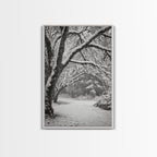 Snowfall Trees, Winter Forest, Nature Pathway, Canvas Print, Holiday Season Decor, Cozy Living Room or Cabin Wall Art