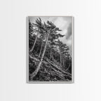 Windy Pines, Forest Landscape, Nature Photography, Framed Canvas Print, Rustic Wall Art, Cabin Decor, Minimalist Art, Fall Home Style