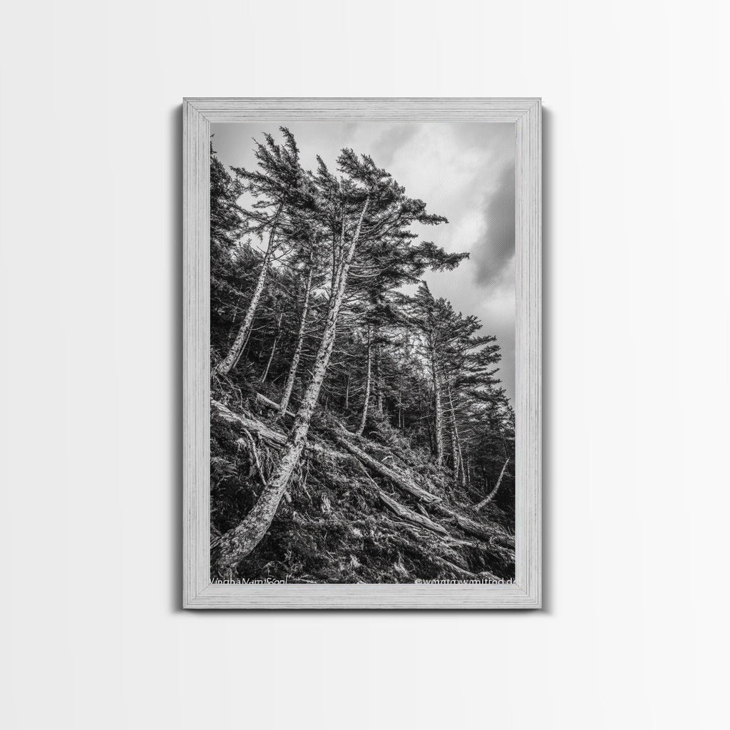 Windy Pines, Forest Landscape, Nature Photography, Framed Canvas Print, Rustic Wall Art, Cabin Decor, Minimalist Art, Fall Home Style