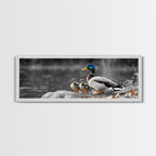 Duck Family, Nature Scene, Wildlife Birds, Lake Reflections, Framed Canvas Print, Nursery Decor, Cozy Art, Nature Lover Gift