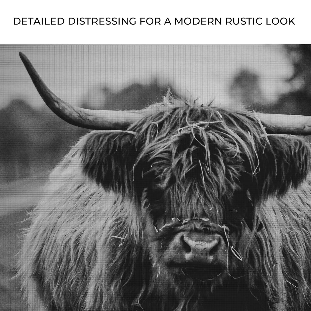 Highland Cow Rustic Gray Canvas Wall Art
