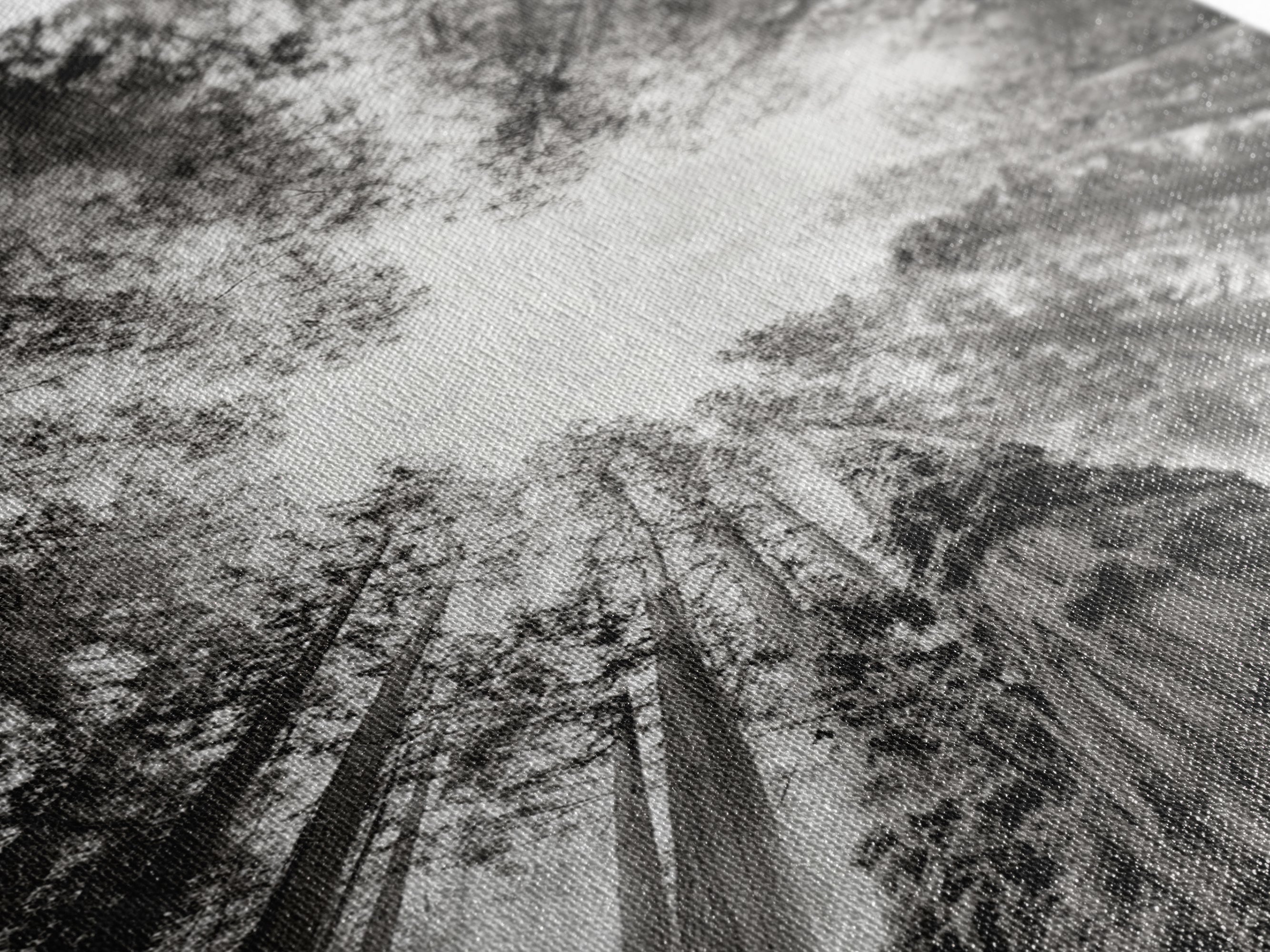 Redwood Canopy Sky, Majestic Forest Trees, Vertical Nature Scene, Framed Canvas Print, Wilderness Wall Art, Lodge or Den Decor