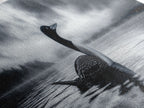 Northern Loon, Water Calm, Moody Wildlife, Canvas Print, Nature Wall Decor, Black and White Animal Art, Lakehouse Wall Art
