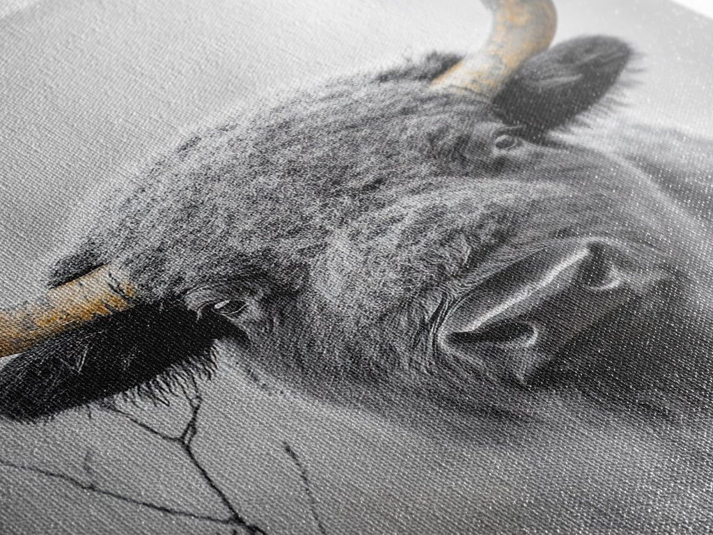Bison, buffalo art, wildlife painting, framed canvas print, rustic decor, western wall art, moody nature, farmhouse animal art, southwest