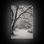 Snowfall Trees, Winter Forest, Nature Pathway, Canvas Print, Holiday Season Decor, Cozy Living Room or Cabin Wall Art