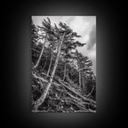 Windy Pines, Forest Landscape, Nature Photography, Framed Canvas Print, Rustic Wall Art, Cabin Decor, Minimalist Art, Fall Home Style