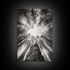 Redwood Canopy Sky, Majestic Forest Trees, Vertical Nature Scene, Framed Canvas Print, Wilderness Wall Art, Lodge or Den Decor