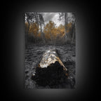 Fallen Log, Autumn Forest, Nature Transition, Framed Canvas Print, Rustic Fall Decor, Cabin Wall Art, Woodland Photography