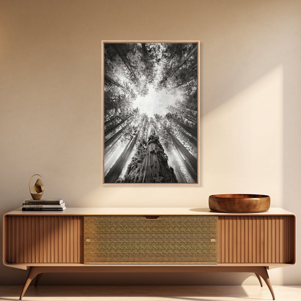 Redwood Canopy Sky, Majestic Forest Trees, Vertical Nature Scene, Framed Canvas Print, Wilderness Wall Art, Lodge or Den Decor