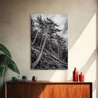 Windy Pines, Forest Landscape, Nature Photography, Framed Canvas Print, Rustic Wall Art, Cabin Decor, Minimalist Art, Fall Home Style