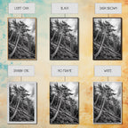 Windy Pines, Forest Landscape, Nature Photography, Framed Canvas Print, Rustic Wall Art, Cabin Decor, Minimalist Art, Fall Home Style
