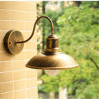 DecorBites™ Black Rustic Gooseneck Outdoor Barn Light Fixture for Patio/Garage/Bathroom
