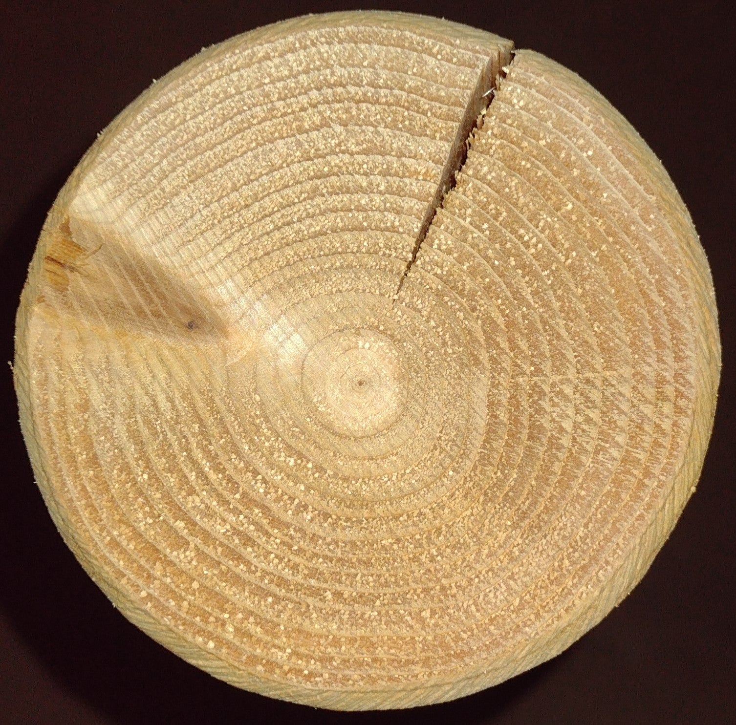 Durable Outdoor Wooden Bench